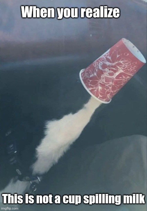 Don't cry | When you realize; This is not a cup spilling milk | image tagged in not,spilled,milk,optical illusion | made w/ Imgflip meme maker