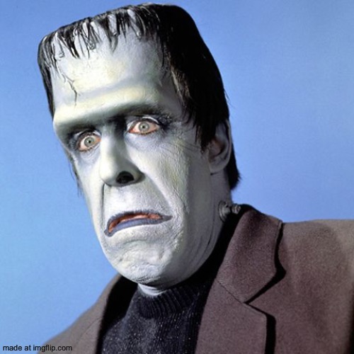 image tagged in herman munster | made w/ Imgflip meme maker