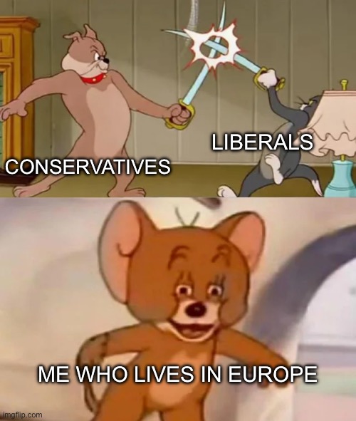 Apparently this is political so fun stream rejected it | liberals; Conservatives; me who lives in europe | image tagged in tom and spike fighting | made w/ Imgflip meme maker