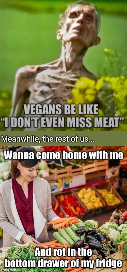 Veggies rot either way... | Meanwhile, the rest of us... | image tagged in vegan,body,fridge,vegetables,rot | made w/ Imgflip meme maker