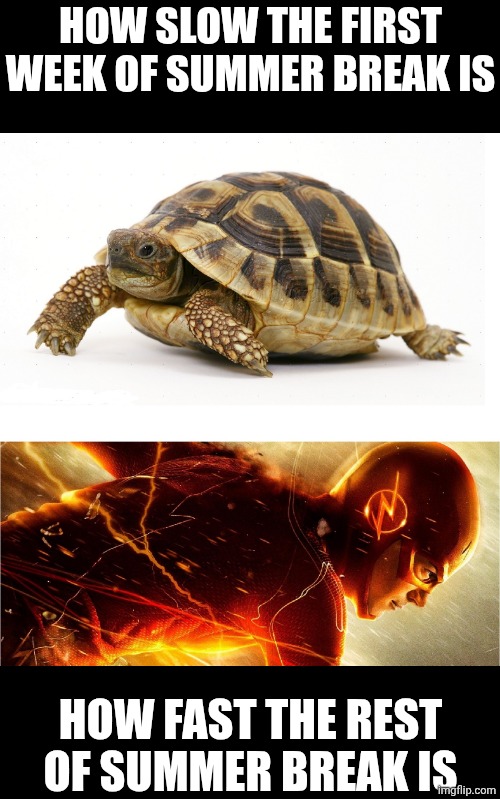 True | How slow the first week of summer break is; how fast the rest of summer break is | image tagged in slow vs fast meme,summer vacation,school,why are you reading the tags,stop reading the tags,front page plz | made w/ Imgflip meme maker