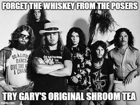 skynard original | forget the whiskey from the posers; try gary's original shroom tea | image tagged in shrooms | made w/ Imgflip meme maker