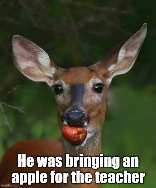 He was bringing an apple for the teacher | made w/ Imgflip meme maker