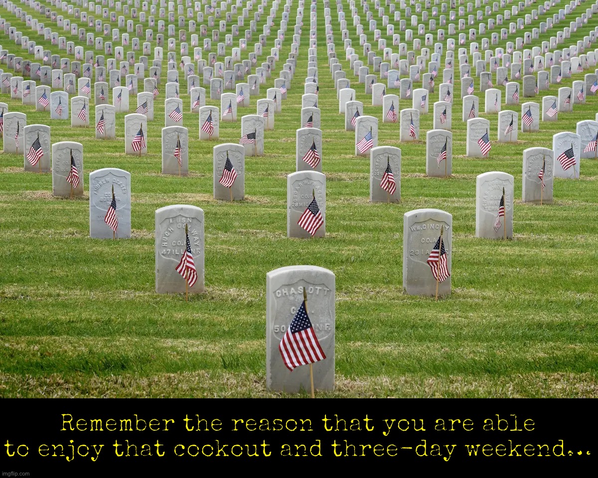 Remember the reason that you are able to enjoy that cookout and three-day weekend… | image tagged in memorial day | made w/ Imgflip meme maker
