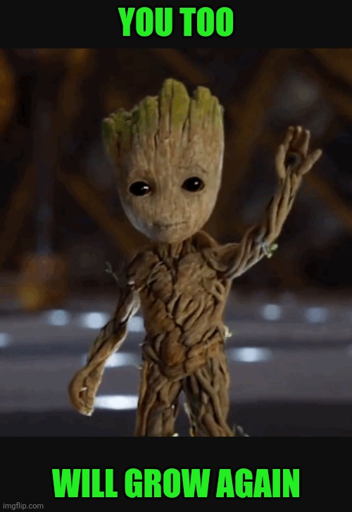 Waving baby groot | You too Will grow again | image tagged in waving baby groot | made w/ Imgflip meme maker