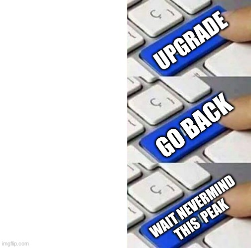 I SAID GO BACK | upgrade; go back; Wait Nevermind this  peak | image tagged in i said go back | made w/ Imgflip meme maker