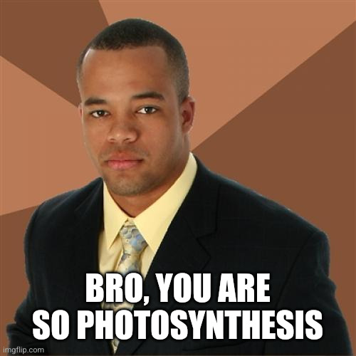 Successful Black Man Meme | Bro, you are so photosynthesis | image tagged in memes,successful black man | made w/ Imgflip meme maker