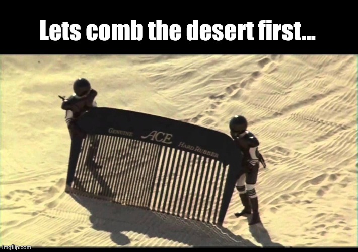 Spaceballs Desert Comb | Lets comb the desert first... | image tagged in spaceballs desert comb | made w/ Imgflip meme maker