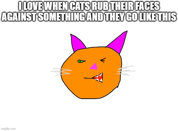 Yes, I drew this. Online, but still. Surprisingly, I'm not half-bad...sometimes. | i love when cats rub their faces against something and they go like this | image tagged in drawing,cats,funny,funny face,random,original | made w/ Imgflip meme maker