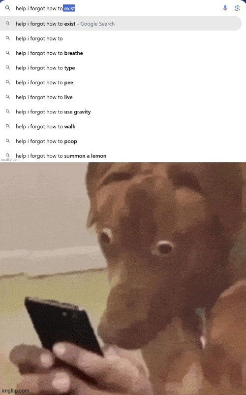 o_o | image tagged in im sorry what,dog on phone,shocked,dog,google search | made w/ Imgflip meme maker