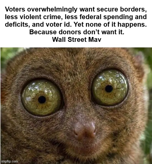 It's All About The Money | Voters overwhelmingly want secure borders, 
less violent crime, less federal spending and 
deficits, and voter id. Yet none of it happens. 

Because donors don’t want it.

Wall Street Mav | image tagged in america,open borders,crimes,spending,voters,show me the money | made w/ Imgflip meme maker