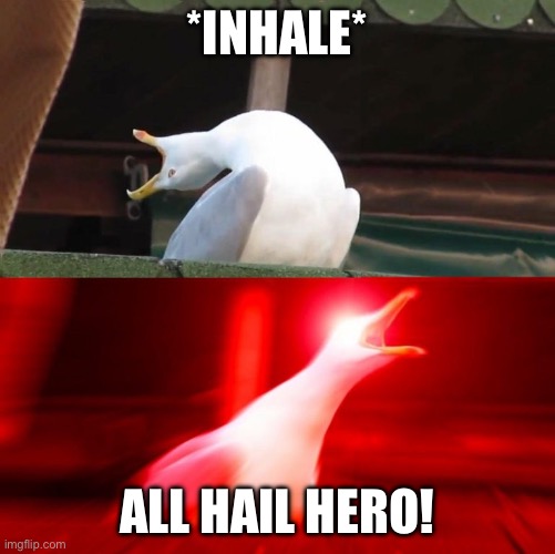BOY seagull | *INHALE* ALL HAIL HERO! | image tagged in boy seagull | made w/ Imgflip meme maker