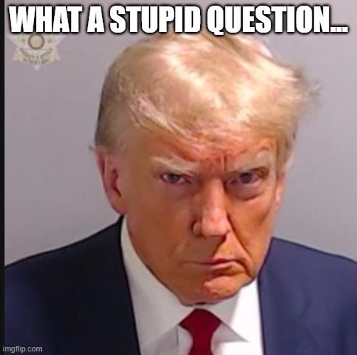 Trump Mugshot | What a stupid question... | image tagged in trump mugshot | made w/ Imgflip meme maker