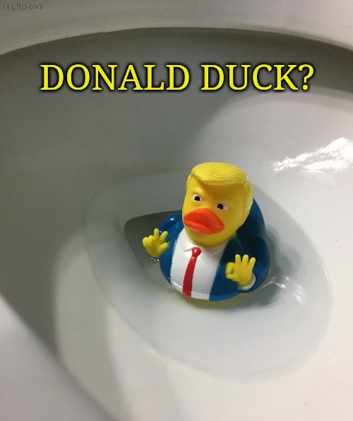 Donald Duck Trump | Donald duck? | image tagged in donald duck trump | made w/ Imgflip meme maker