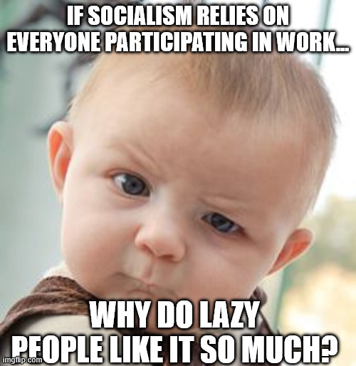 Skeptical Baby Meme | if socialism relies on everyone participating in work... why do lazy people like it so much? | image tagged in memes,skeptical baby | made w/ Imgflip meme maker