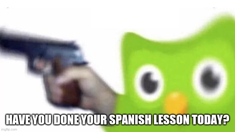 creo que sí | have you done your spanish lesson today? | image tagged in duolingo gun | made w/ Imgflip meme maker