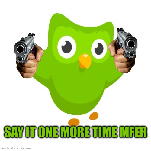 things duolingo teaches you | Say it one more time mfer | image tagged in things duolingo teaches you | made w/ Imgflip meme maker