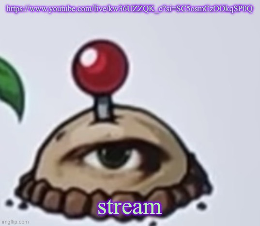 the potato | https://www.youtube.com/live/kw36UZZQK_c?si=SC5osmCzOOkqSP0Q; stream | image tagged in the potato | made w/ Imgflip meme maker