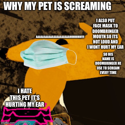 The loudest scream in the world is joey the doombringer (grace) | Why my pet is screaming; I also put face mask to doombringer mouth so its not loud and i wont hurt my ear; AAAAAAAAAAAAAAAAAAAAAHHHHHHH!!!! So his name is doombringer he use to scream every time; I hate this pet it’s hurting my ear | image tagged in joey the doombringer | made w/ Imgflip meme maker