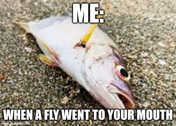 When a fly went to your mouth | Me:; When a fly went to your mouth | image tagged in dead fish | made w/ Imgflip meme maker