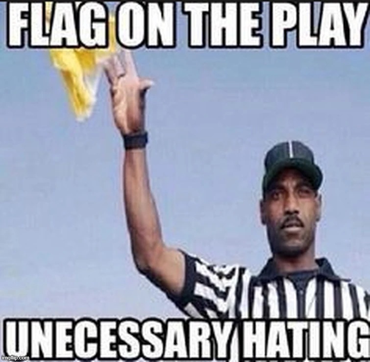 Flag on the play: Unnecessary hating | image tagged in flag on the play unnecessary hating | made w/ Imgflip meme maker