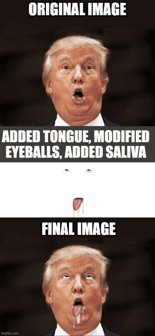 Original Image Final image Added tongue, modified eyeballs, added saliva | made w/ Imgflip meme maker