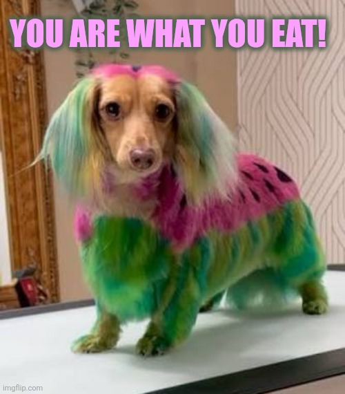 You are what you eat! | made w/ Imgflip meme maker