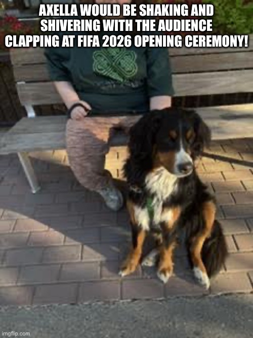Axella Shivers With The Clapping Audience | Axella would be shaking and shivering with the audience clapping at fifa 2026 opening ceremony! | image tagged in img_6124 jpeg,fifa,dogs | made w/ Imgflip meme maker