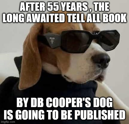DB Cooper's dog | After 55 years , the long awaited tell all book; by DB Cooper's dog is going to be published | image tagged in dog wearing sunglasses,db cooper's dog,db cooper,money,memes,dog | made w/ Imgflip meme maker