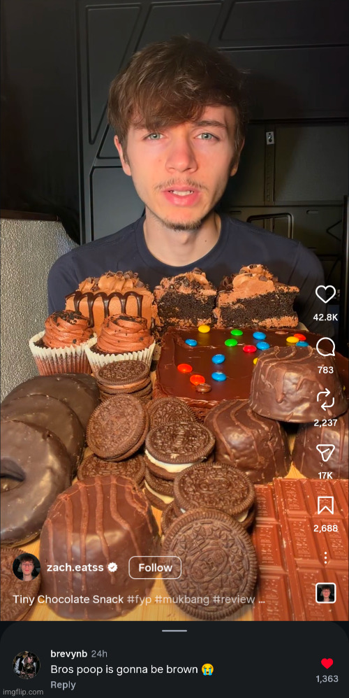 I LhOaVtEe insta comments | image tagged in i lhoavtee insta comments,poop,funny,comments,chocolate,brown | made w/ Imgflip meme maker