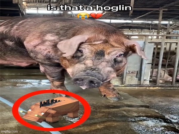 image tagged in memes,msmg | made w/ Imgflip meme maker