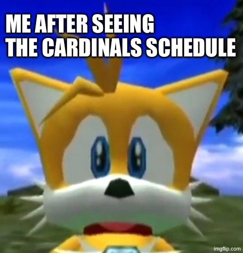 I’m sad | Me after seeing the Cardinals Schedule | image tagged in dreamcast tails,nfl,funny,memes,relatable,football | made w/ Imgflip meme maker