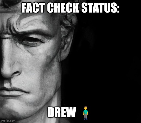 fact check status | Fact check status: Drew ?‍♂️ | image tagged in fact check status | made w/ Imgflip meme maker