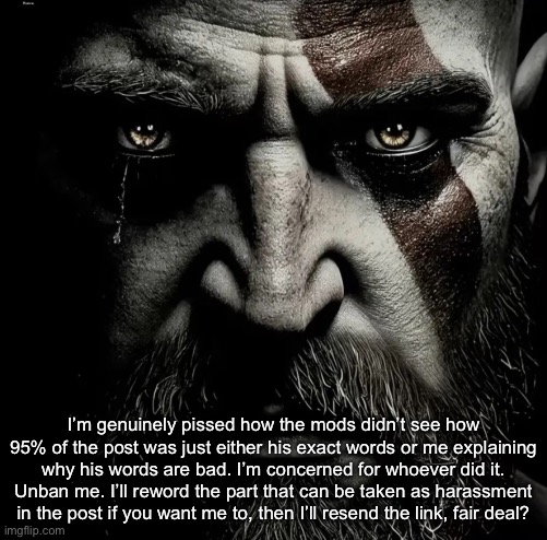 PLEASE bro | I’m genuinely pissed how the mods didn’t see how 95% of the post was just either his exact words or me explaining why his words are bad. I’m concerned for whoever did it. Unban me. I’ll reword the part that can be taken as harassment in the post if you want me to, then I’ll resend the link, fair deal? | image tagged in kill | made w/ Imgflip meme maker
