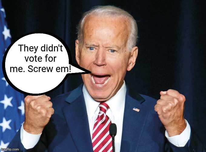 Crazy Joe Biden | They didn't vote for me. Screw em! | image tagged in crazy joe biden | made w/ Imgflip meme maker
