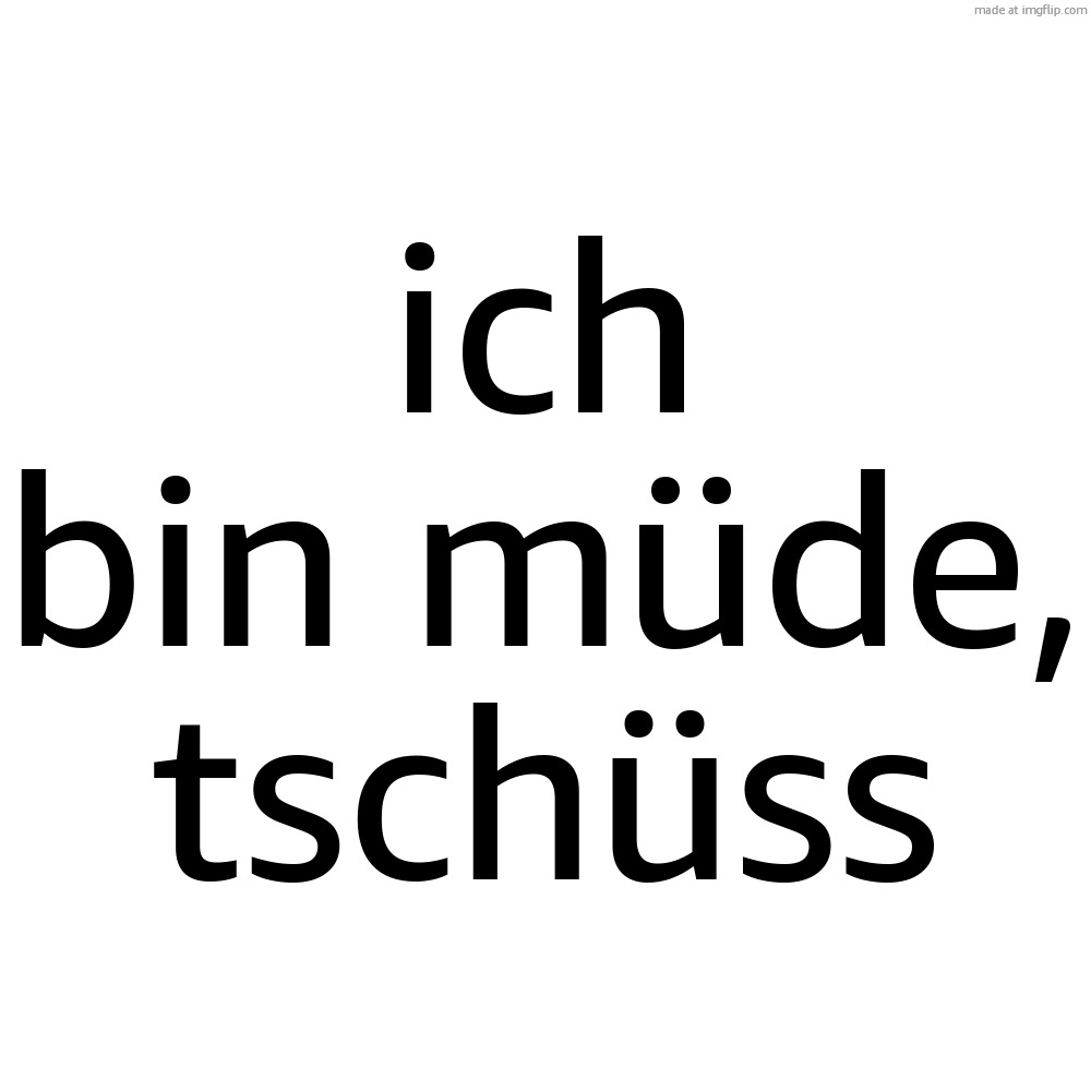 deutsch should be der sekundäre language of msmg | ich bin müde, tschüss | image tagged in memes,blank transparent square | made w/ Imgflip meme maker