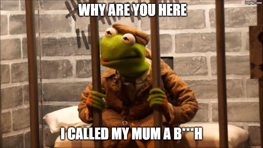 bit | why are you here; i called my mum a b***h | image tagged in kermit in jail,kermit the frog,relatable | made w/ Imgflip meme maker