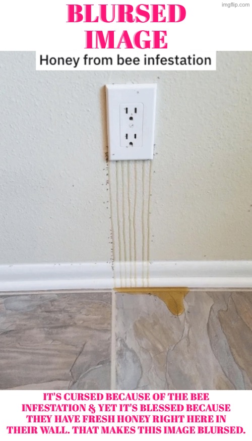 Blursed Image Here | Blursed image; It's cursed because of the bee infestation & yet it's blessed because they have fresh honey right here in their wall. That makes this image blursed. | image tagged in cursed images,blursed,honey,bees,blessed,how did this happen | made w/ Imgflip meme maker