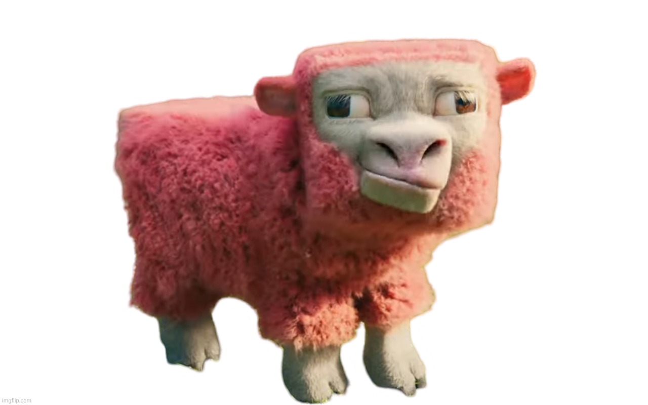 image tagged in sheep | made w/ Imgflip meme maker