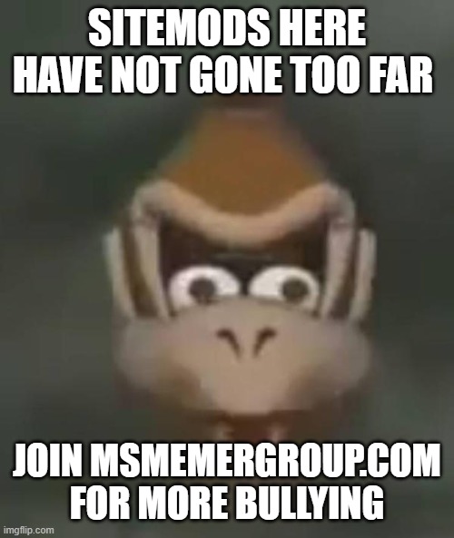 diddyballtuah67 lied to us! | sitemods here have not gone too far; join msmemergroup.com for more bullying | image tagged in donkey kong shocked,remix | made w/ Imgflip meme maker