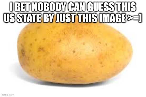 Potato | I bet nobody can guess this us state by just this image >=] | image tagged in potato,usstates,mystery,food,vegetables | made w/ Imgflip meme maker