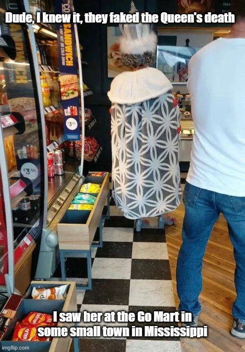 I Want To Be The Queen | Dude, I knew it, they faked the Queen's death; I saw her at the Go Mart in some small town in Mississippi | image tagged in queen elizabeth,not dead,living the dream,chess | made w/ Imgflip meme maker