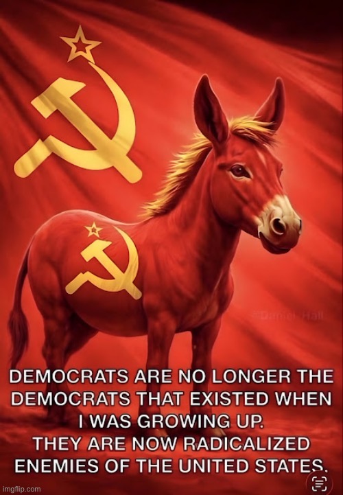Any real “moderates” and “traditional liberals” that the party had, serving in office, are long gone. | image tagged in anti communists,hammer and sickle,donkey,democrat party,enemies,radicalized | made w/ Imgflip meme maker