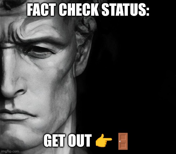 fact check status | Fact check status: Get out ?? | image tagged in fact check status | made w/ Imgflip meme maker