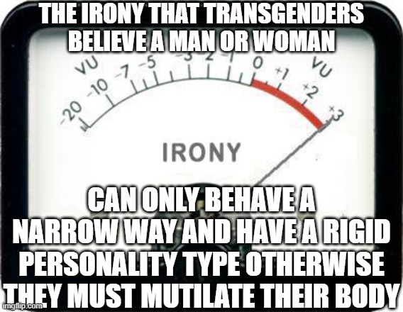 the irony that transgenders believe a man or woman can only behave a narrow way and have a rigid personality type otherwise they must mutila | image tagged in irony meter | made w/ Imgflip meme maker