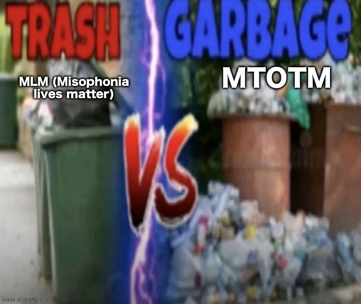 First of all, they’re both bad, second of all MLM stands for men loving men | MLM (Misophonia lives matter); MTOTM | image tagged in trash vs garbage | made w/ Imgflip meme maker