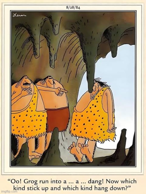 Him find out hard way… | image tagged in the far side,comics,cavemen,cave,stalactite or stalagmite,hit head | made w/ Imgflip meme maker