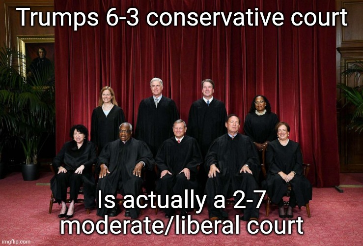 Supreme Court 2023 | Trumps 6-3 conservative court; Is actually a 2-7 moderate/liberal court | image tagged in supreme court 2023 | made w/ Imgflip meme maker