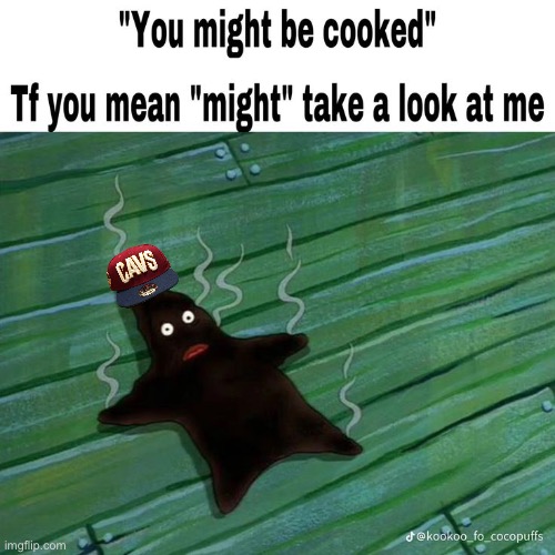 IMG_3270.jpeg | image tagged in img_3270 jpeg | made w/ Imgflip meme maker
