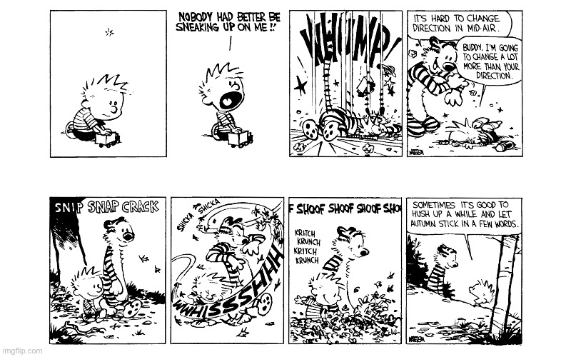 image tagged in calvin and hobbes,comics | made w/ Imgflip meme maker